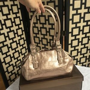 Francesco Biasia Metallic Animal Skin-Like Pattern Purse